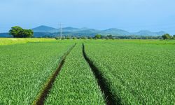 Kısa süre satışta kalacak: Mahkeme Adana'da 392 arsayı bu rakama satacak!