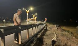 Doğaya Saygı: Başkan Yaralı Leylekleri Tedaviye Gönderdi