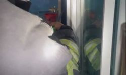 Sıcaktan Serinlemeye Gelen Yılan Marketin Soğutma Dolabına Girdi!