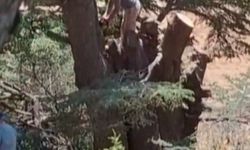 Vatandaşın Kamerası Suçluları Ele Verdi: Orman Hırsızları Yakalandı