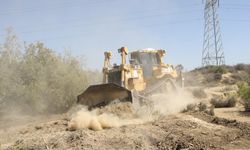 Yüreğir’de Sokak Hayvanları İçin 100 Bin Metrekarelik Proje