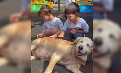 Seyhan Belediyesi’nden Miniklere Sevgi Dolu Ders: Hayvanları Korumak Elinizde