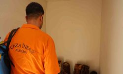 Adana’da Şaşırtan Proje: Kırmızı Reishi Mantarı Cezaevinde Yetişti!