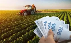 Adanalı Çiftçiye Müjde! 349 Milyon TL’lik Dev Destek Hesaplara Yatıyor