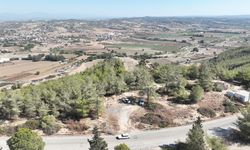 Seyhan’dan Sokak Hayvanlarına Büyük Müjde: 23 Dönümlük Yaşam Alanı!