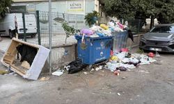 Seyhan’da Mahalleler Çöplüğe Döndü! Vatandaş İsyan Etti