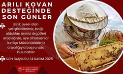 Arıcılara Kritik Uyarı! Destek İçin Son Gün Açıklandı