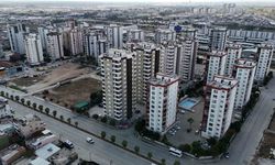 Adana’da ‘Az Hasarlı’ Paniği: Fiyatlar Yüzde 30 Düştü!