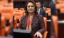 CHP’li Dr. Şevkin’den TBMM’de Şok Açıklama: Türkiye Silah Cenneti Haline Geldi!