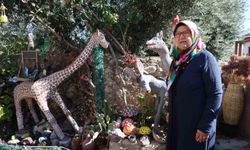 65 Yaşındaki Emekli Öğretmen Evini Açık Hava Sanat Galerisine Dönüştürdü!