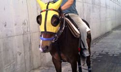 Seyis Resul Taş’tan kötü haber: 8 gün dayanabildi...