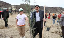 Yanan Ormanda Umut Yeşerdi: Dede Ve Torun El Ele Fidan Dikti