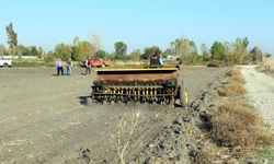 İşgalden Üretime: Adana’da Dev Merada Büyük Dönüşüm!