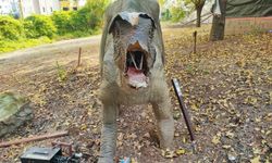 Milyonluk “Dinazor Park” Çürümeye Terk Edildi!