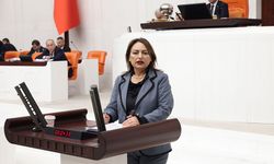 CHP’li Şevkin’den Sert Çıkış: “Kuzey Adana Kaderine Terk Edildi”