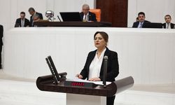 CHP’li Şevkin: “Çiftçi Kara Kara Düşünüyor”