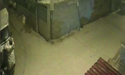 “250 Lira İçin Her Şeyi Göze Aldı!” Adana’da Hırsızın İtirafı Şaşkına Çevirdi