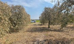 Greyfurt Üreticisine Büyük Şok! Destek Listesinden Çıkarıldılar