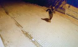 Yüreğir’de Gece Yarısı Saldırısı: Camlar Tek Tek Kırıldı