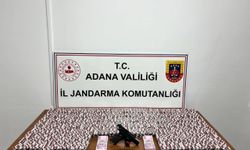Adana'da jandarma 23 bin 876 uyuşturucu hap ele geçirdi