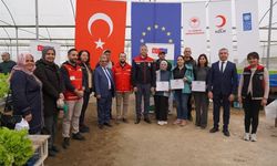 Adana’da Tarımda Yeni Dönem: Topraksız Marul Üretimi Başladı