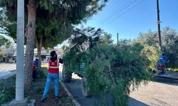 Ceyhan Belediyesi’nden Sarımazı’da Dev Temizlik Operasyonu