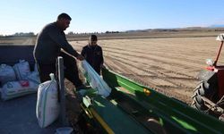 Kozan’da Buğday Sezonu Başladı! Çiftçilerin İlk Sözleri Dikkat Çekti