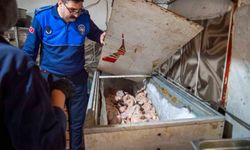 Kurtlanmış Salça ve Turşu! Hijyensiz Dönerci Mühürlendi