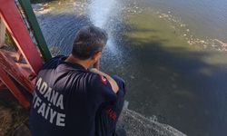 Adana’da Doğa Alarm Veriyor! Seyhan Nehri’nde Balıklar Kitlesel Olarak Ölüyor!