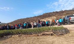 Kozan’da Minik Yüreklerden Büyük Dokunuş: Yangın Bölgesi Yeşeriyor