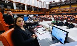 Şevkin: Kapanan Kepenkler, Ekonomik Krizin Yerel Yüzü