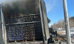 Adana Otoyolunda Dehşet Anları! Narenciye Yüklü Tır Alev Alev Yandı