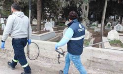 Adana’da Köpek Operasyonu Sonuçsuz Kaldı: Vatandaş Çözüm Bekliyor