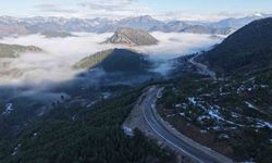 Kızılçamlar, Kar ve Sis Bir Arada: Feke’de Büyüleyen Manzara