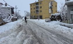 Tufanbeyli’de Kar Hayatı Durdurdu