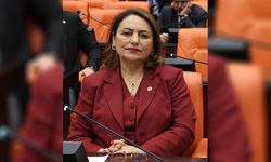 CHP’li Şevkin: “Adana’da Kentsel Dönüşüm Mağduriyet Üretiyor”