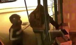 Adana’da Telefoncuya Parke Taşıyla Baskın! O Anlar Kamerada