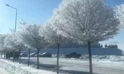 Adana’da Eksi 20 Derece: Tufanbeyli Beyaza Büründü