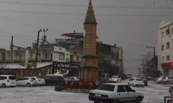 Adana'da dolu yağışı etkili oldu