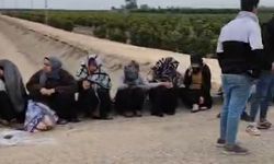 Adana’da Tarım İşçilerini Taşıyan Midibüs Sulama Kanalına Uçtu!