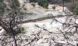 Kuzey Adana’da Taşkın Panik Yarattı! Nehirler Taştı