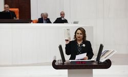 Dr. Şevkin: “Ülkenin Canı ve Kaynakları Yok Ediliyor”