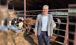 Et Krizi Derinleşiyor: Barut’tan AKP’ye Sert Hayvancılık Eleştirisi