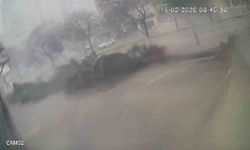 Adana’da Fırtına Dehşeti! Ağaçlar Peş Peşe Böyle Devrildi