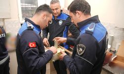 Seyhan Belediyesi’nden Okul Kantinlerine Yakın Takip