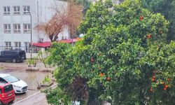 Adana’da Bayramda Hava Sürprizi: Yağış ve Serinlik Kapıda