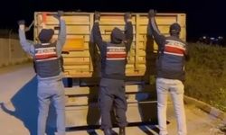 Adana’da Jandarmadan Dev Operasyon: 4 Milyondan Fazla Kaçak Makaron Ele Geçirildi