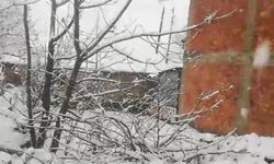 Mart Ayında Kar Sürprizi! Adana Beyaza Büründü