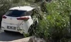 Adana’da Fırtına Gibi Rüzgar! Ağaçlar Devrildi, Çatı Uçtu