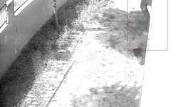 Apartman dairesine tırmanıp girdi, dizüstü bilgisayar çaldı